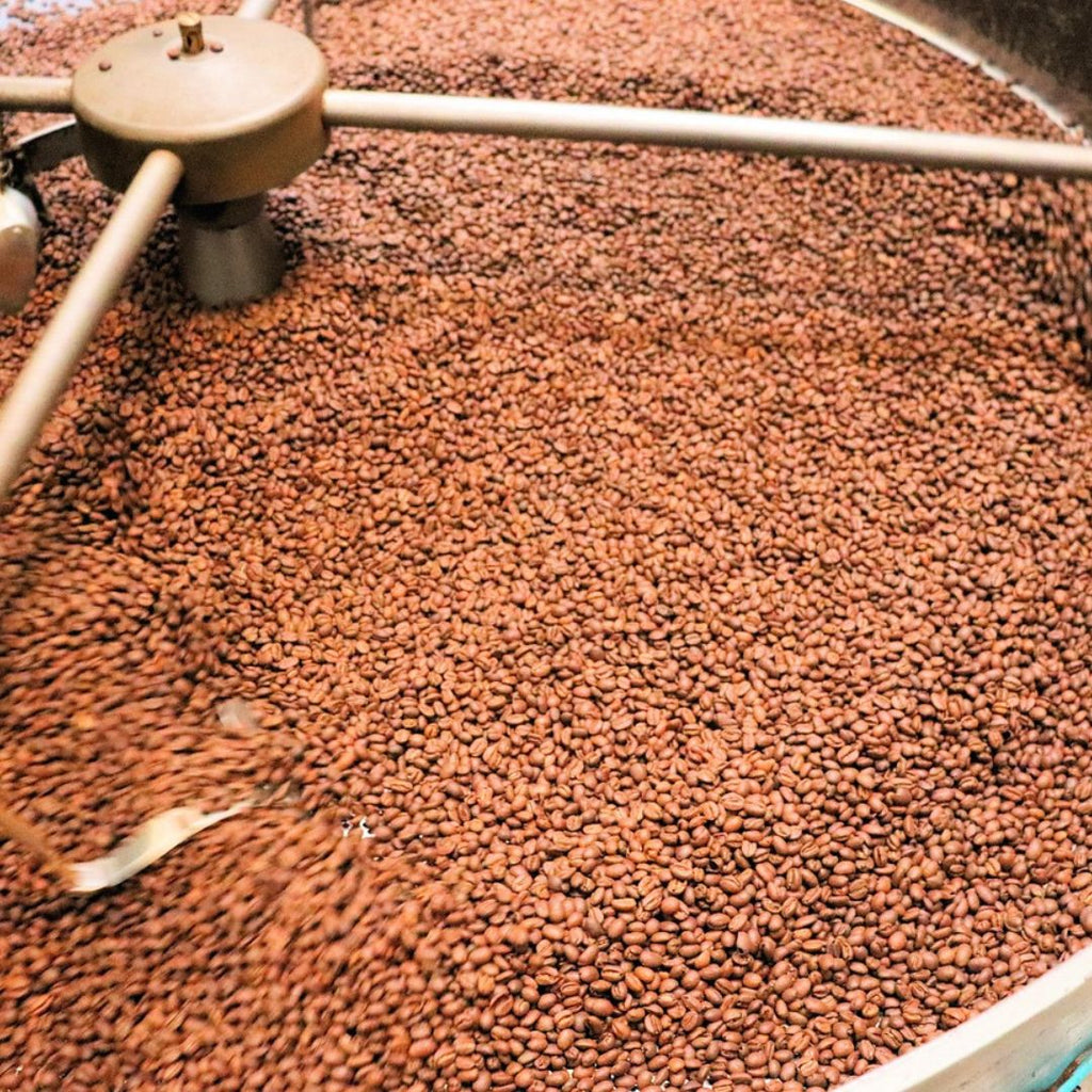 Roasted coffee beans for Baressa Reggio Blend RFA